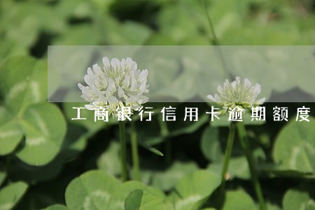 工商银行信用卡逾期额度减半 工商银行信用卡逾期额度减半