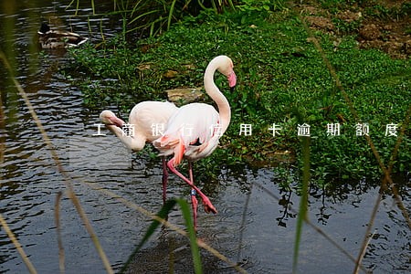 工商银行信用卡逾期额度降到0