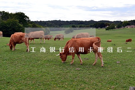 工商银行信用卡重组后二次逾期 工商银行信用卡重组后二次逾期