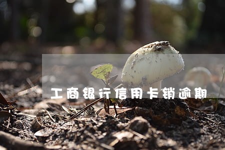 工商银行信用卡销逾期 工商银行信用卡销逾期