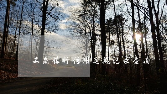 工商银行信用逾期记录查询 工商银行信用逾期记录查询