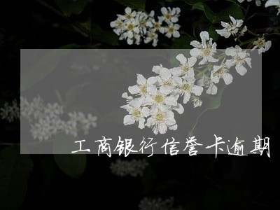工商银行信誉卡逾期 工商银行信誉卡逾期