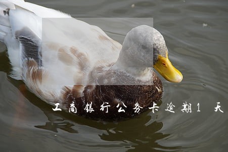 工商银行公务卡逾期1天影响征信 工商银行公务卡逾期1天影响征信