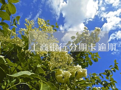 工商银行分期卡逾期一天要罚息吗 工商银行分期卡逾期一天要罚息吗