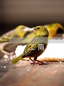 工商银行助学贷款逾期十年 工商银行助学贷款逾期十年