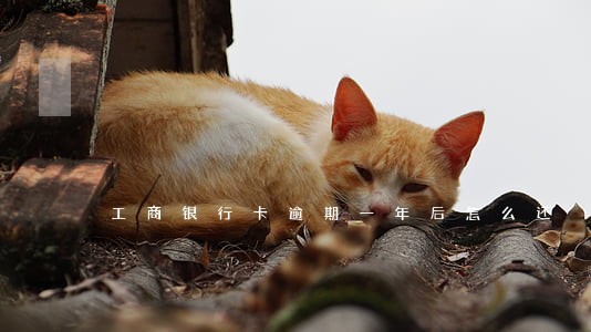 工商银行卡逾期一年后怎么还 工商银行卡逾期一年后怎么还