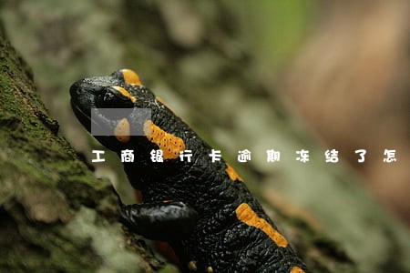工商银行卡逾期冻结了怎么办 工商银行卡逾期冻结了怎么办