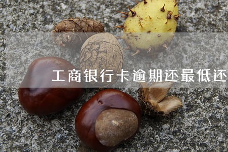 工商银行卡逾期还最低还款额 工商银行卡逾期还最低还款额