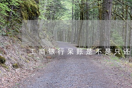 工商银行呆账是不是只还本金 工商银行呆账是不是只还本金