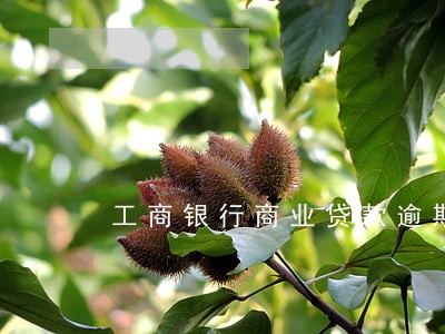 工商银行商业贷款逾期6个月 工商银行商业贷款逾期6个月