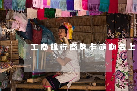 工商银行商务卡逾期会上征信 工商银行商务卡逾期会上征信