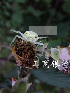 工商银行大额理财逾期 工商银行大额理财逾期