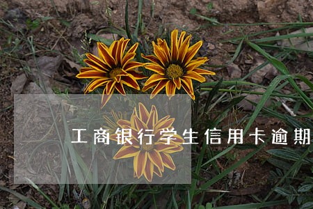 工商银行学生信用卡逾期 工商银行学生信用卡逾期