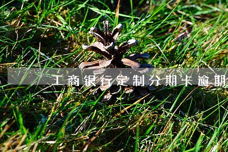 工商银行定制分期卡逾期 工商银行定制分期卡逾期