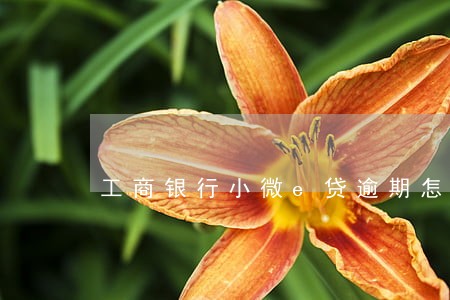 工商银行小微e贷逾期怎么办 工商银行小微e贷逾期怎么办