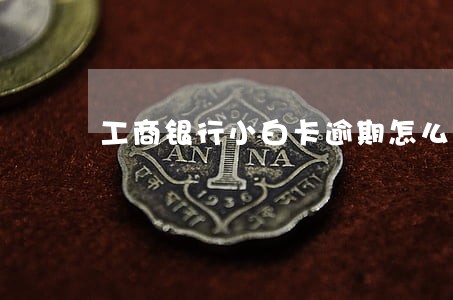 工商银行小白卡逾期怎么办 工商银行小白卡逾期怎么办