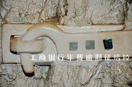 工商银行年费逾期征信拉黑
