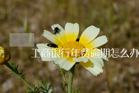 工商银行年费逾期怎么办 工商银行年费逾期怎么办