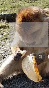 工商银行幸福卡逾期一年了 工商银行幸福卡逾期一年了