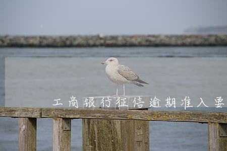 工商银行征信逾期准入要求 工商银行征信逾期准入要求