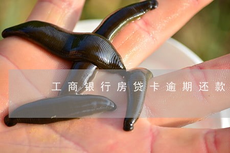 工商银行房贷卡逾期还款规定 工商银行房贷卡逾期还款规定