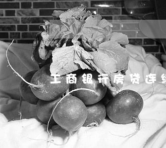 工商银行房贷连续逾期四个月了 工商银行房贷连续逾期四个月了