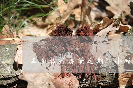 工商银行房贷逾期2小时 工商银行房贷逾期2小时