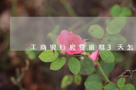 工商银行房贷逾期3天怎么办 工商银行房贷逾期3天怎么办