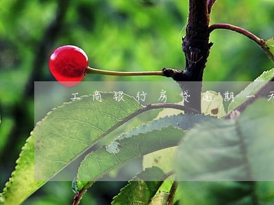 工商银行房贷逾期一天上征信了