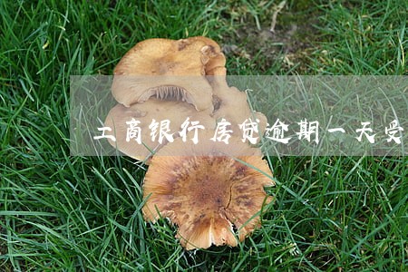 工商银行房贷逾期一天受影响吗 工商银行房贷逾期一天受影响吗