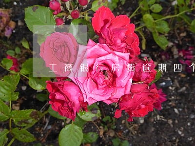 工商银行房贷逾期四个小时 工商银行房贷逾期四个小时