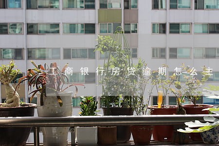 工商银行房贷逾期怎么主动还款 工商银行房贷逾期怎么主动还款
