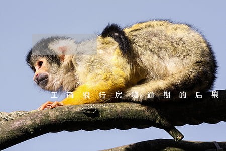 工商银行房贷逾期的后果 工商银行房贷逾期的后果