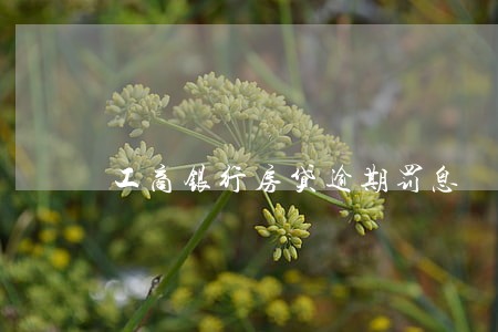 工商银行房贷逾期罚息