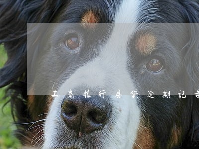 工商银行房贷逾期记录查询 工商银行房贷逾期记录查询