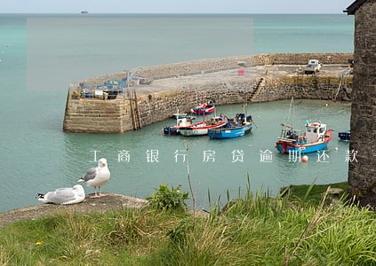 工商银行房贷逾期还款一个月后果 工商银行房贷逾期还款一个月后果