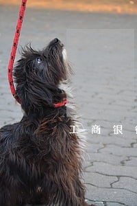 工商银行新一贷逾期 工商银行新一贷逾期