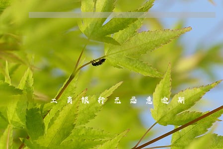 工商银行无恶意逾期 工商银行无恶意逾期