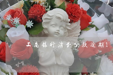 工商银行消费贷款逾期15天 工商银行消费贷款逾期15天