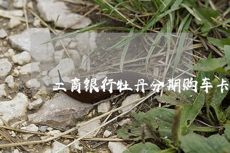 工商银行牡丹分期购车卡逾期一天 工商银行牡丹分期购车卡逾期一天