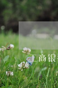 工商银行牡丹卡额度逾期6 工商银行牡丹卡额度逾期6