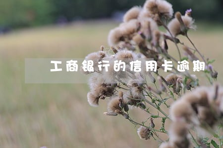 工商银行的信用卡逾期