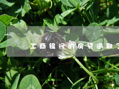 工商银行的房贷逾期了还能还吗 工商银行的房贷逾期了还能还吗