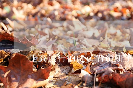 工商银行的融e借逾期了怎么办 工商银行的融e借逾期了怎么办
