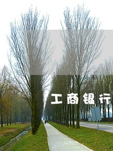 工商银行美元逾期 工商银行美元逾期
