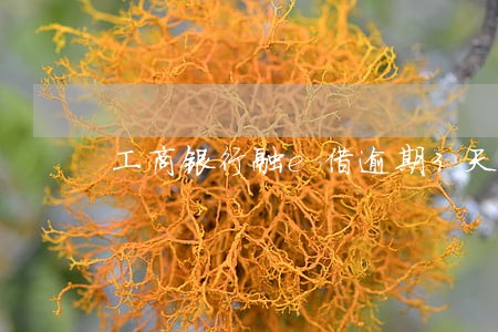 工商银行融e借逾期3天 工商银行融e借逾期3天