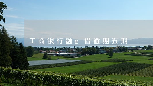 工商银行融e借逾期五期 工商银行融e借逾期五期