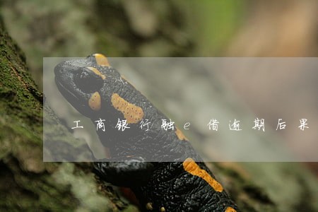工商银行融e借逾期后果 工商银行融e借逾期后果