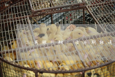 工商银行融e借逾期能消除 工商银行融e借逾期能消除