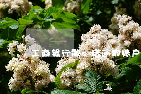工商银行融e借逾期账户已锁定 工商银行融e借逾期账户已锁定